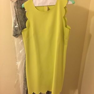 J Crew green/yellow ruffle dress